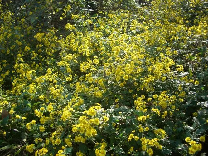 在实战中成长的TRIZ专家 - 历时近半年的RDMI® TRIZ三级培训实战部分圆满落幕 在实战中成长的TRIZ专家 - 历时近半年的RDMI® TRIZ三级培训实战部分圆满落幕