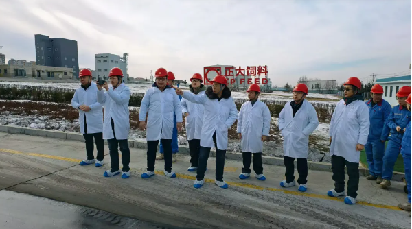 RDMI®与正大集团携手创新,TRIZ三级实战项目经验证取得显著成果 RDMI®与正大集团携手创新,TRIZ三级实战项目经验证取得显著成果